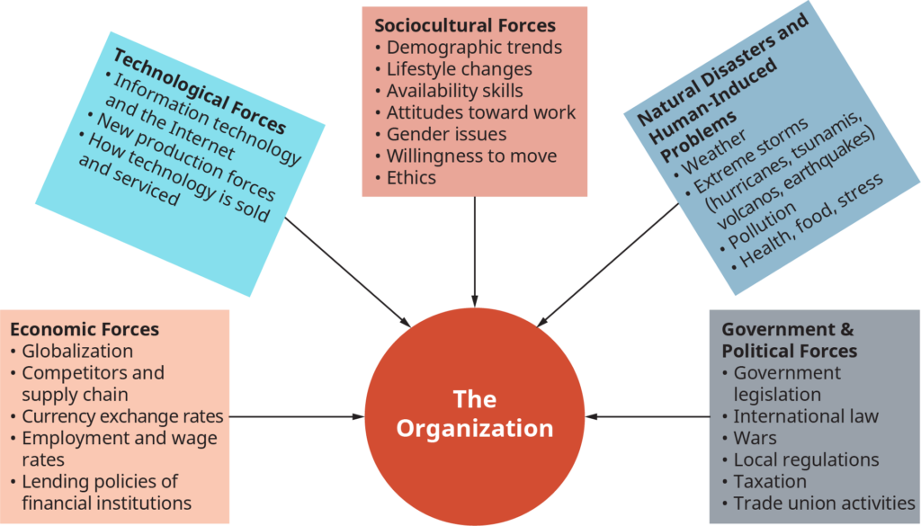 how external environment affect the organisation