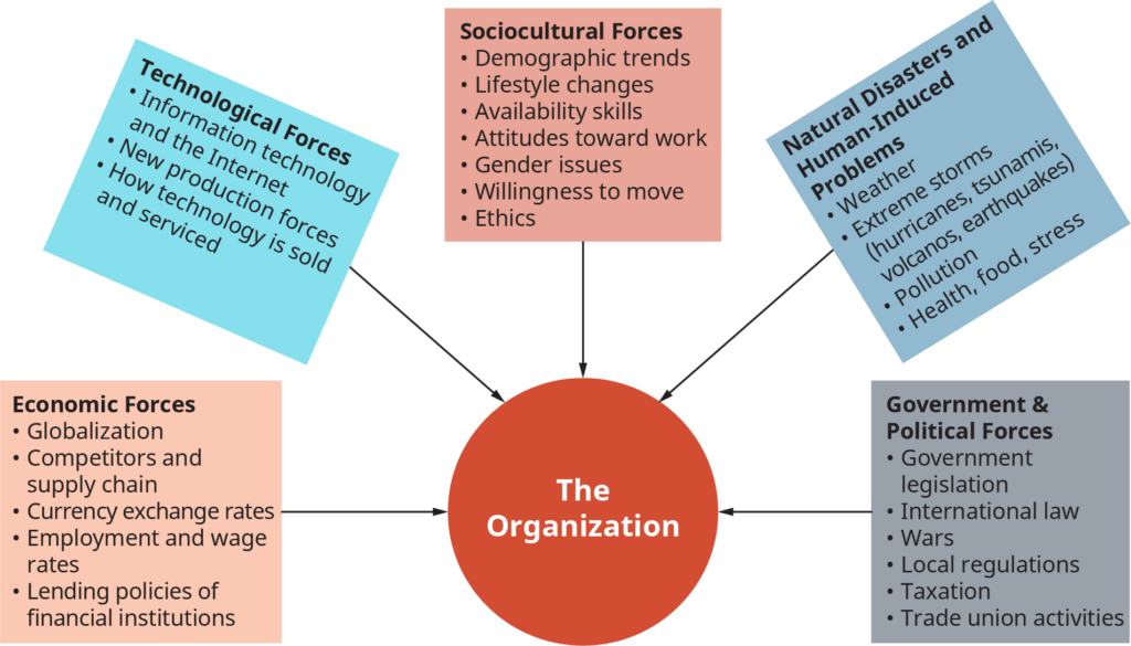 External Environment BusinessOER